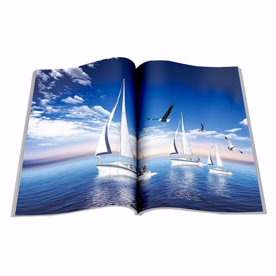 China Factory High Quality Production Flyer Brochure Printing Offset Book Printing Catalogue