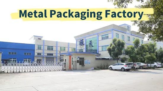 Factory Direct Custom Decorative Holidays Tinplate Packaging Novel Storage Container Houses Shape Tin Metal Christmas for Food 